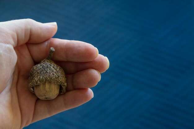 Белки и аминокислоты: строительный материал для мужских тканей