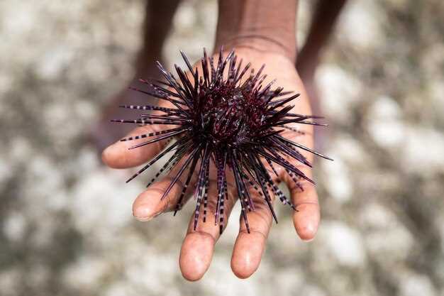 Витамины группы В: укрепление нервной системы и повышения работоспособности