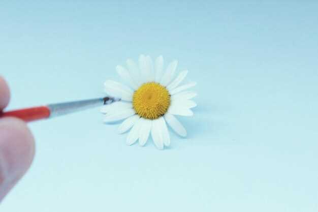 Допустимые формы и дозировки использования ромашки