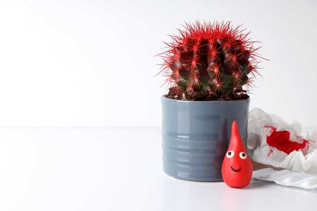 Что делать при кровотечении в первые недели беременности: шаги и рекомендации