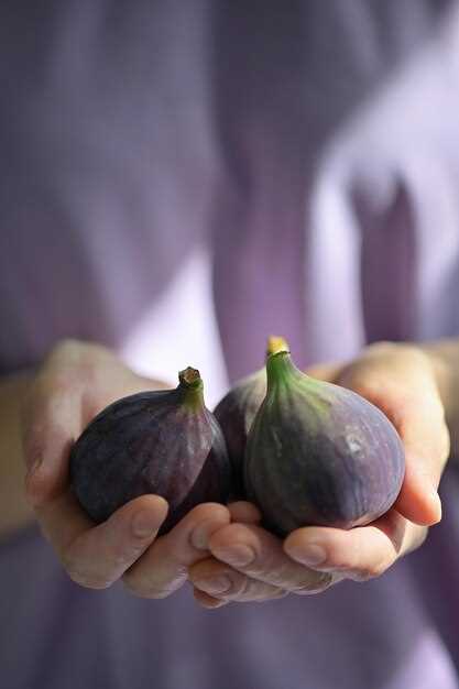 Польза инжира для здоровья будущих мам и развитие плода