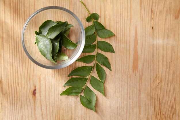 Реальные противопоказания для употребления лаврового листа