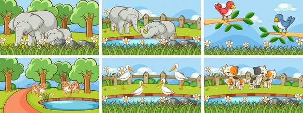 Анимационный стиль и качество изображения: на что ориентироваться