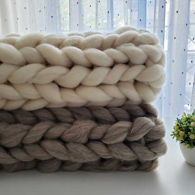 Практические советы по выбору и уходу за пледом из Ализе Пуффи Файн