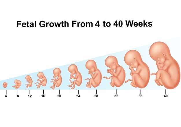 Критические сроки и особенности переворота малыша внутри матки