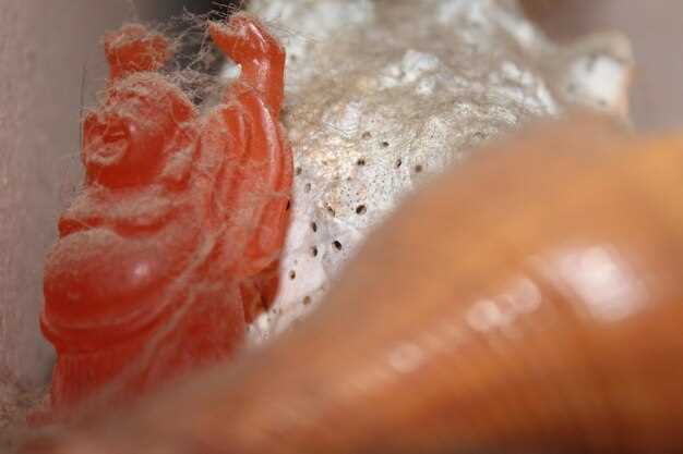 Механизмы воспалительных процессов и их влияние на сосудистую стенку