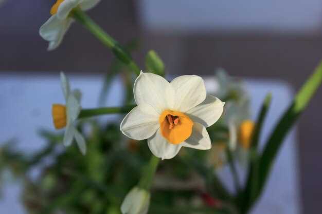 Обиды и чувствительность к критике как индикаторы нарциссизма