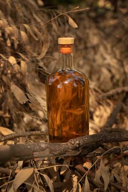 Подготовка и процессы приготовления настойки из кедровых орехов