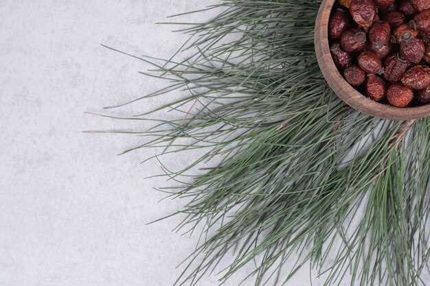 Как определить готовность настойки и ее правильная фильтрация