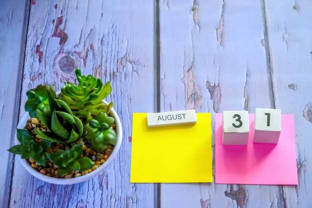 Обновление данных: как учесть возраст и индивидуальные особенности