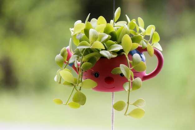 Использование ярких цветов и тематических рисунков