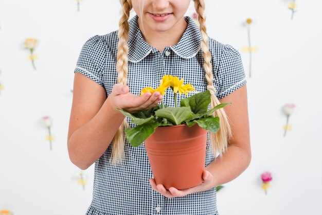 Лучшие практики фотографирования и подборка фото горшков для детей