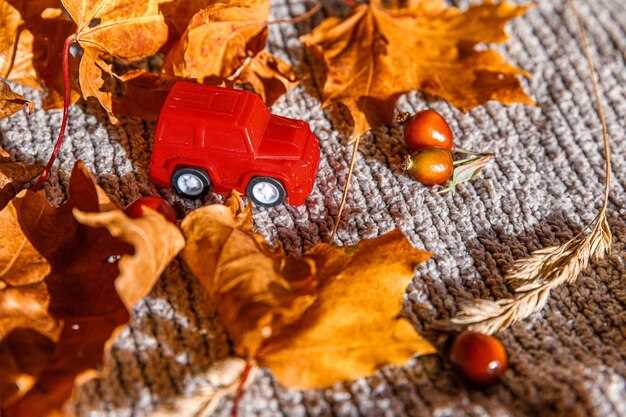 Поделки из природного материала: пошаговые идеи для малышей