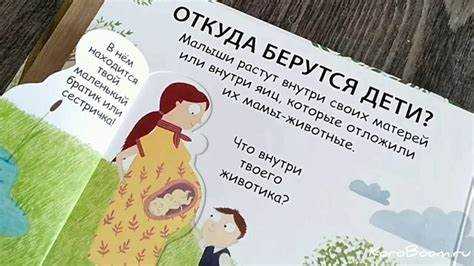 Формирование новой жизни: анализ аспектов