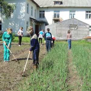 Особенности