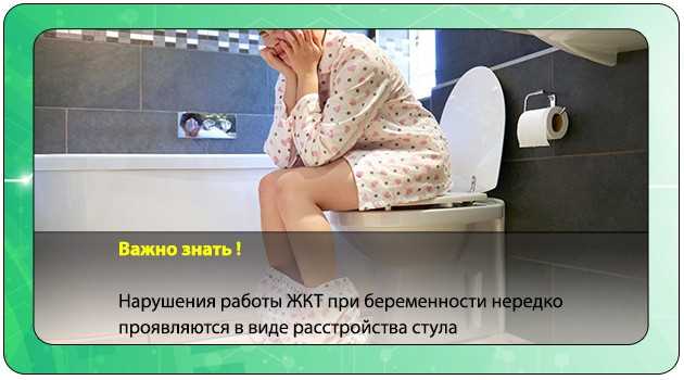 Питание и его роль в возникновении нарушений пищеварения