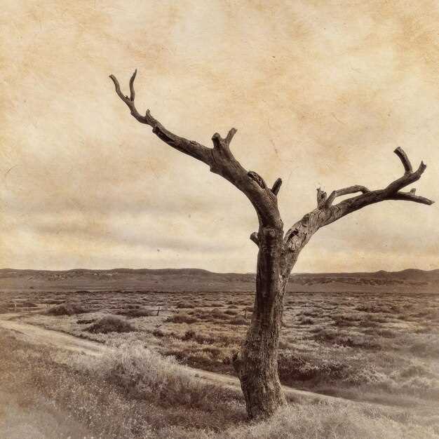 Значение имени и его влияние на судьбу носителей