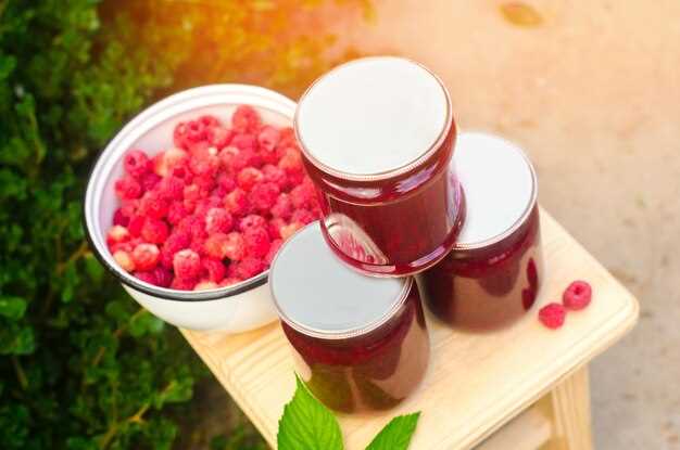 Выбор и подготовка свежей малины