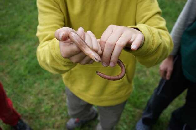 Критерии нормальной частоты пульса у 7-летних детей