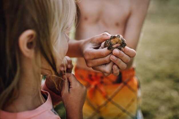 Контекст сна: события, люди и окружающая обстановка