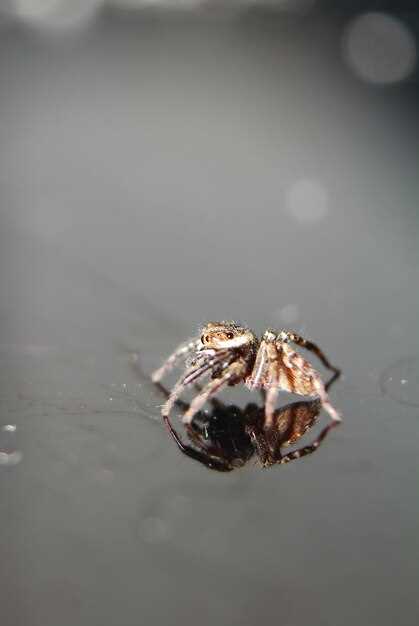 Разновидности раков: крупные, маленькие, кровавые – как интерпретировать