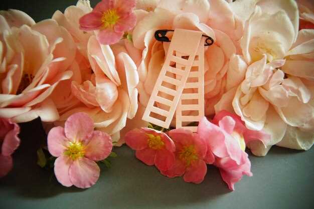 История появления имени и его связь с культурой