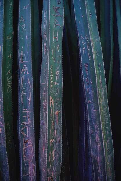 Практическое использование и влияние длинных имен в повседневной жизни