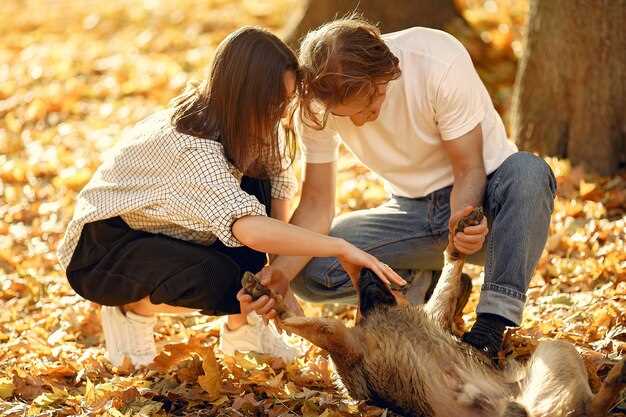 Общение и совместные увлечения