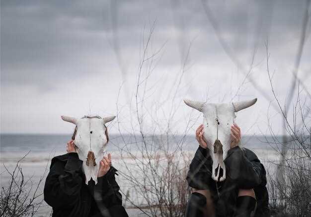 Близнецы и Весы: интеллектуальный обмен и общие интересы