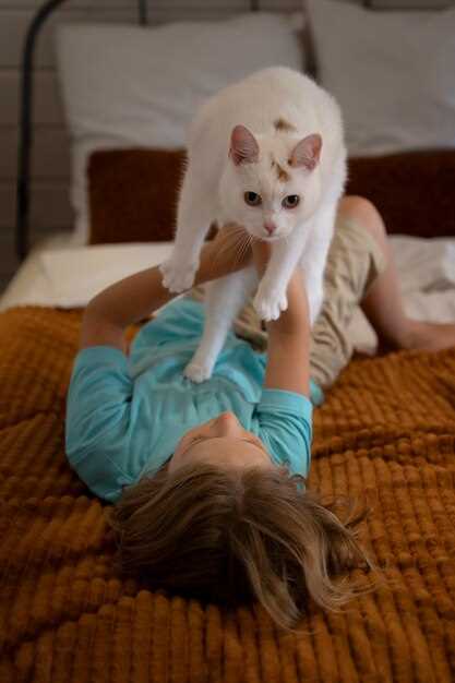 Цвет кошачьих котят и его символика в контексте сна