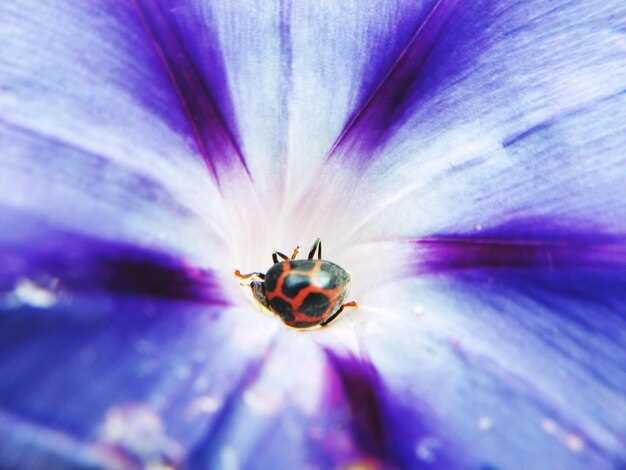 Жук, ползущий по телу: сигнал о проблемах или тревогах