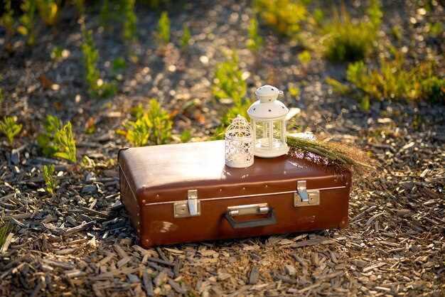 Влияние личных связей с покойной кошкой на сон и его смысл