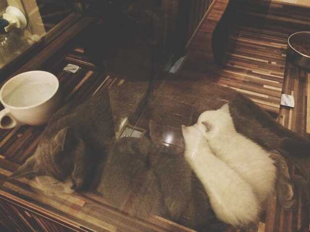 Интерпретация снов о питомцах, находящихся под угрозой или в опасности