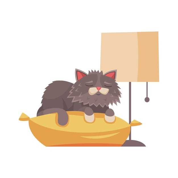 Важность окружения: другие животные или предметы рядом с серой кошкой