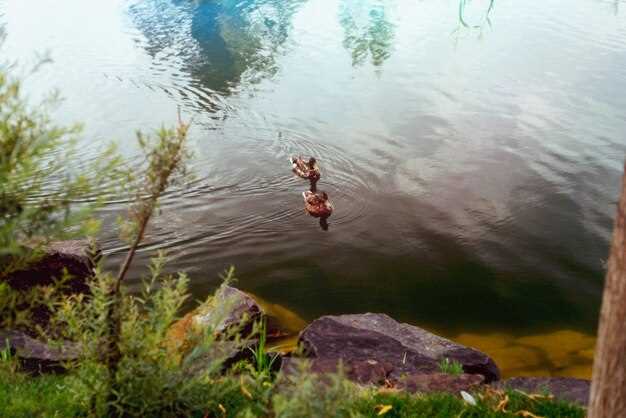 Что символизирует рыба в сновидениях и какие виды бывают