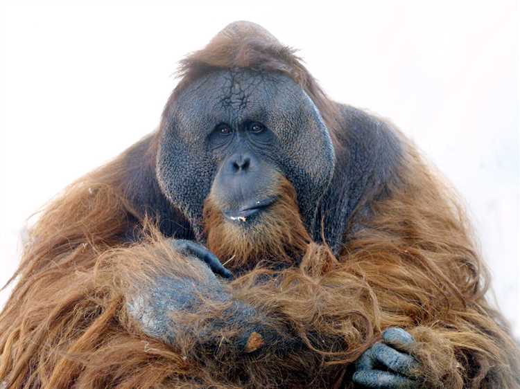 Недостаточная