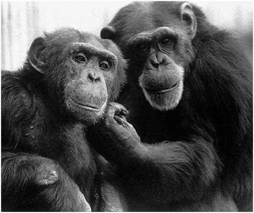 Инновационные