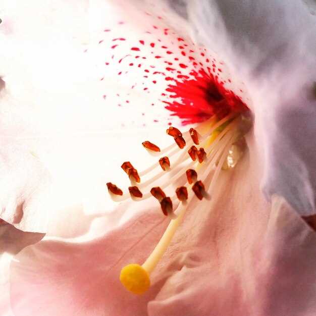 Когда нужно обращаться к врачу после обнаружения повышенных лейкоцитов?