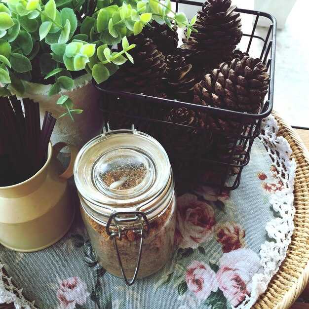 Какие виды еловых шишек подходят для варенья и как отличить спелые