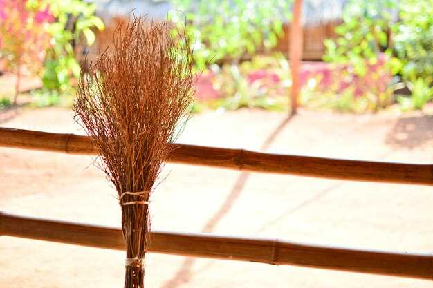 Различные виды растений для изготовления веника и их свойства