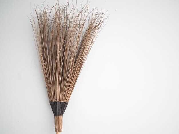 Лингвистические особенности названий веников из разных растительных видов