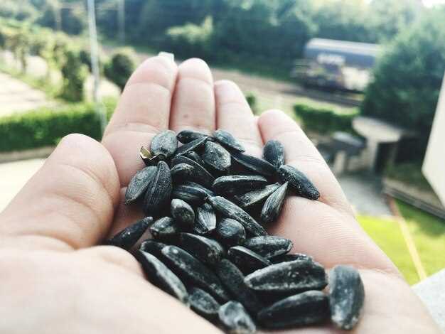 Высокая калорийность и риск набора веса