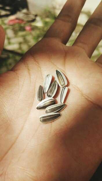 Обработка семечек: как влияет жарка на содержание полезных компонентов