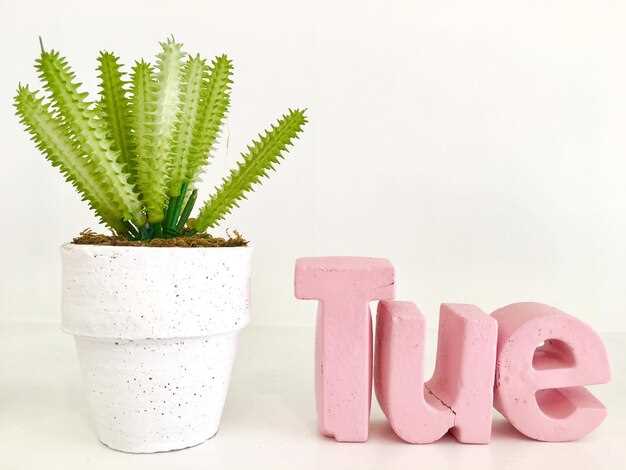 Практические советы по выбору имени на букву Й