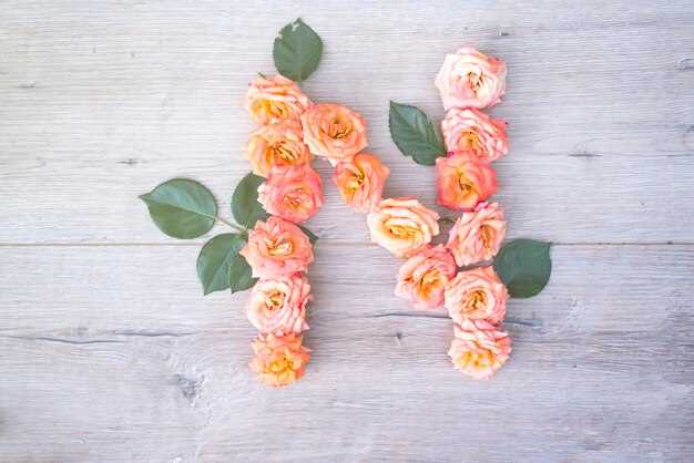 Редкие имена для девочек с буквой Й и их происхождение