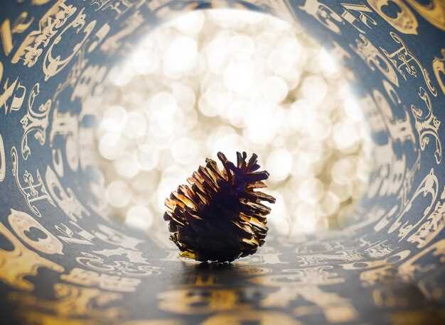 Этимология имени и его языковые корни