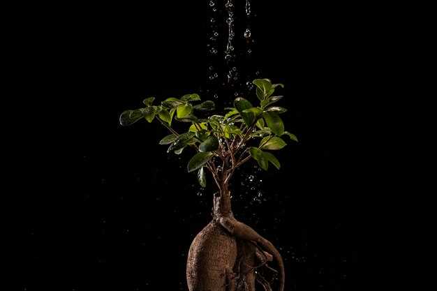 Биохимические процессы, ускоряющие восстановление мышц