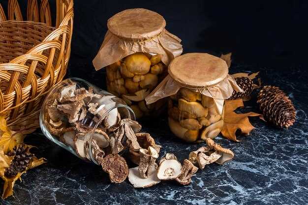 Грибная солянка на зиму как приготовить и сохранить наилучшим образом