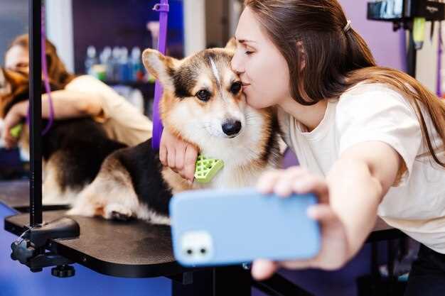 Лучшие мультики для собак как выбрать и чем порадовать питомца просмотром