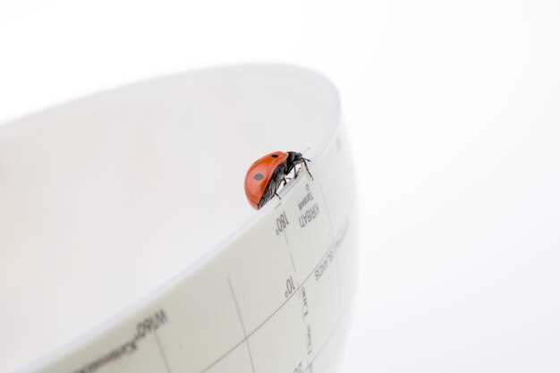 Полное толкование сна о большом жучке и его значение в разных сонниках